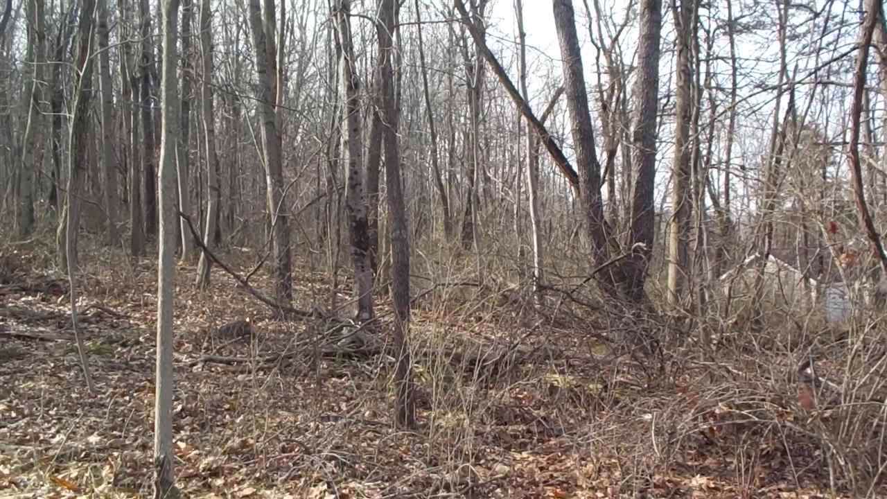 tbd Sidney Gap Rd - Photo 1