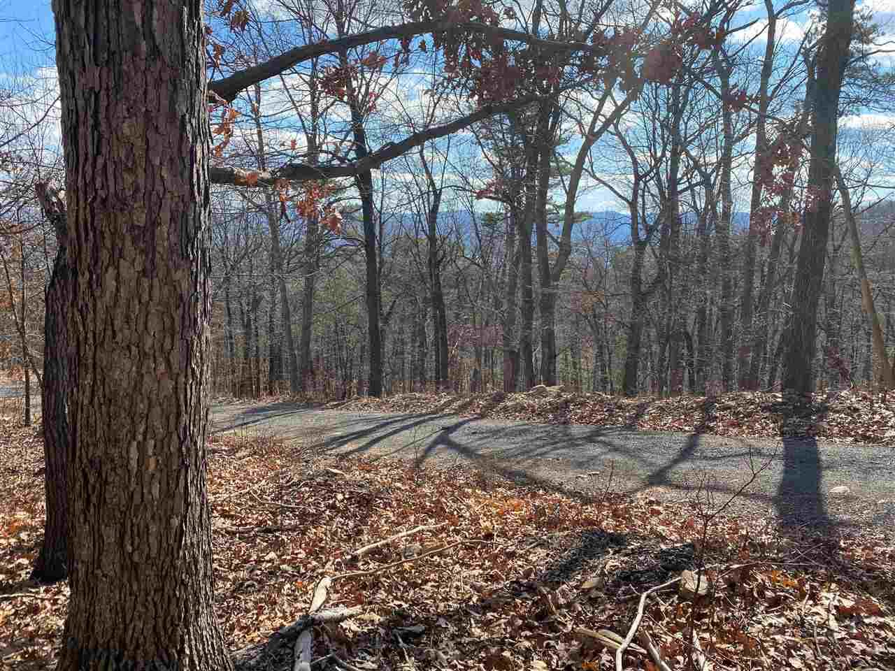 12.62 Ac Panorama View Dr - Photo 1