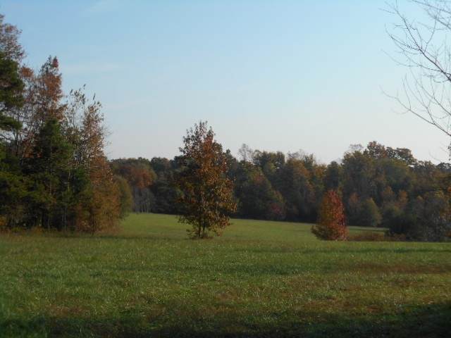 00 Scuffletown Rd - Photo 1