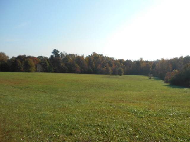 00 Scuffletown Rd - Photo 1
