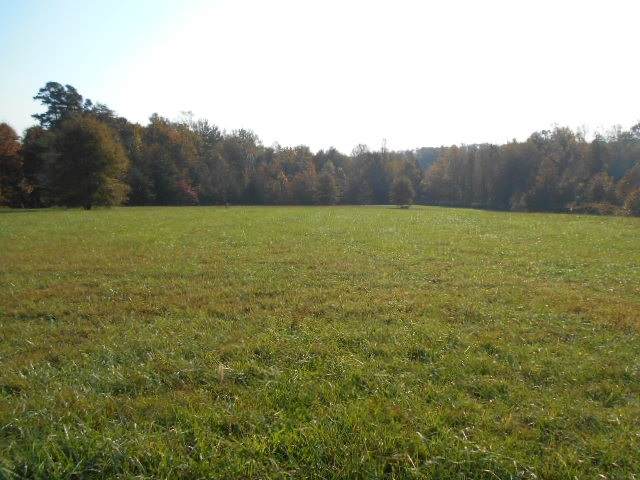 00 Scuffletown Rd - Photo 1