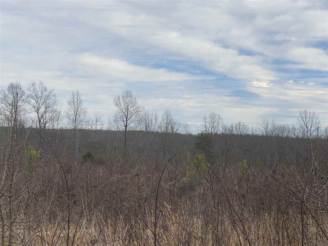 Lot 7 Briery Farm Rd - Photo 1