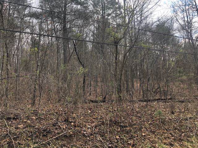 TBD Estaline Valley Rd - Photo 1