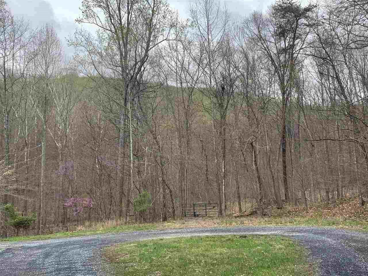 0000 Crawfords Knob Ln - Photo 1