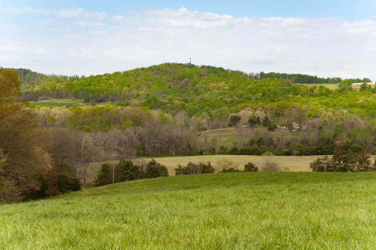TBD Madison Run Rd - Photo 1