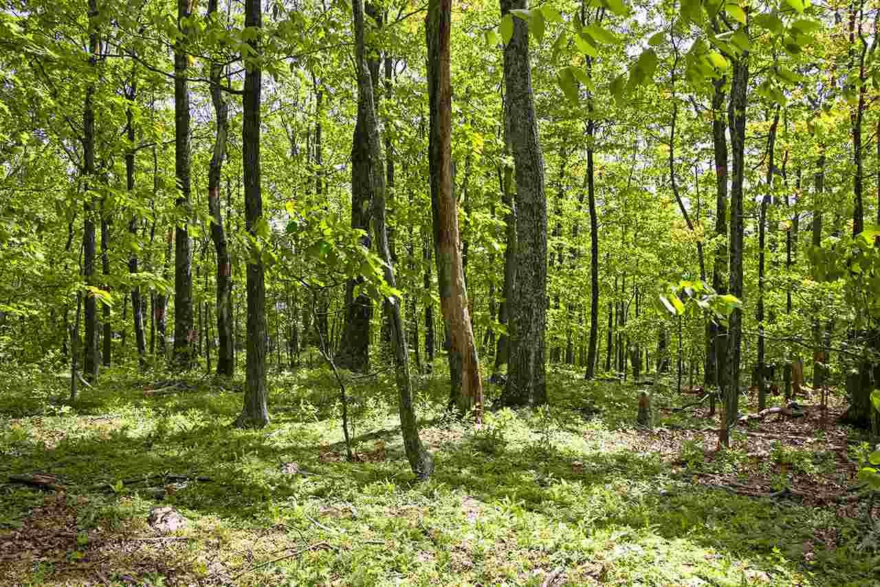 23 Grassy Ovlk - Photo 1