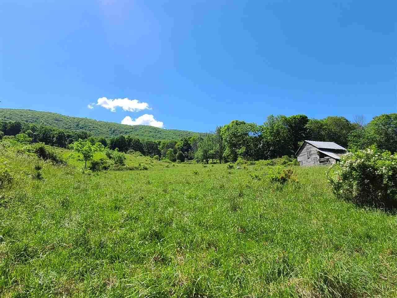 909 Little Valley Dr - Photo 1