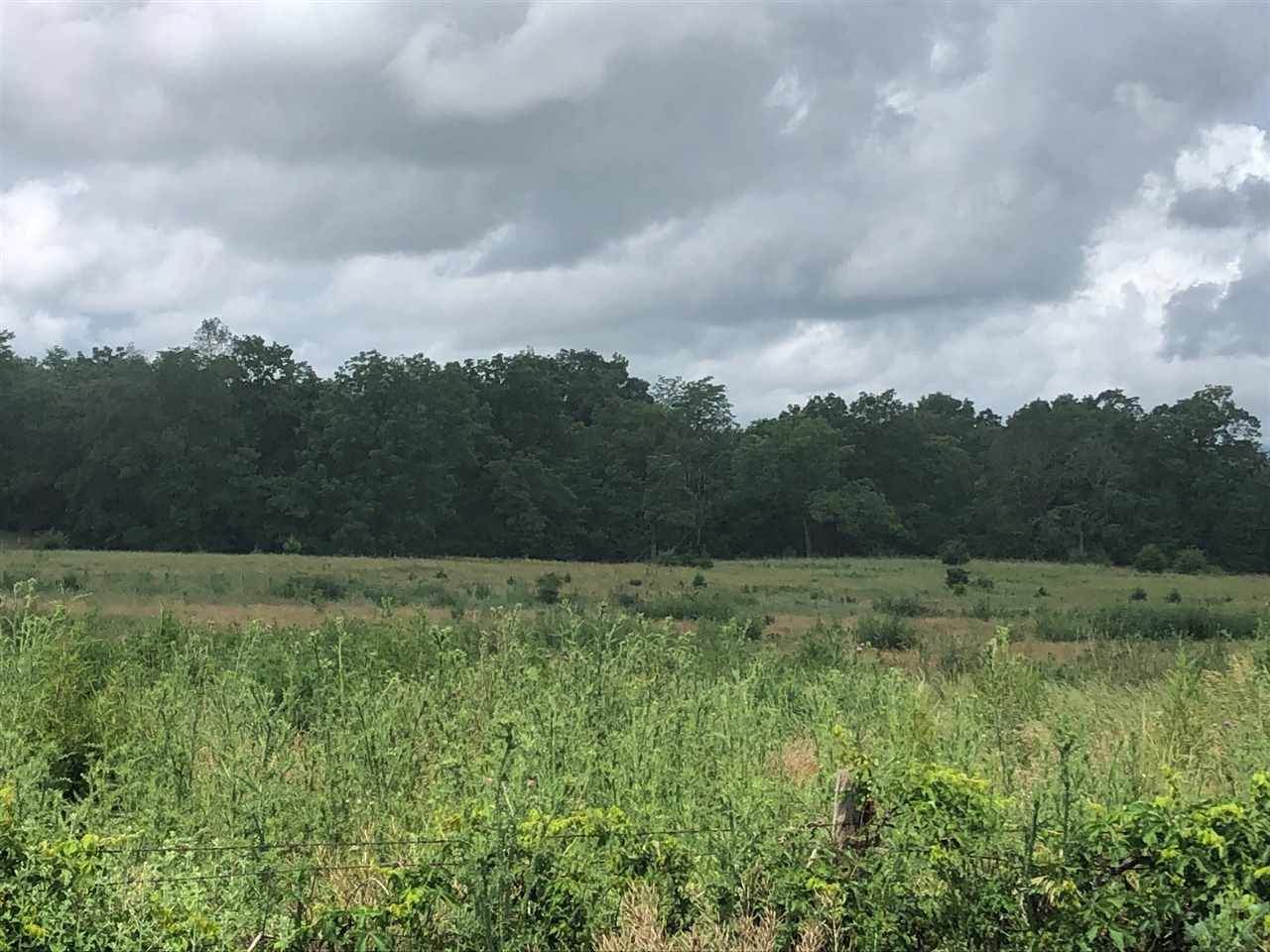 3271 Kratzer Rd - Photo 1