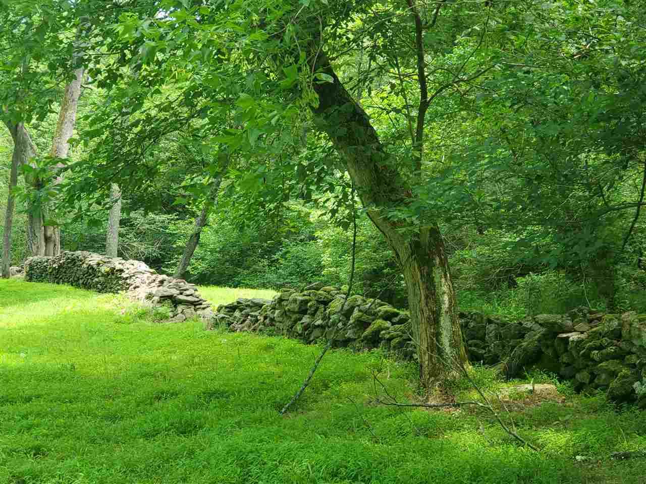 00 Ridgeview Ln - Photo 1