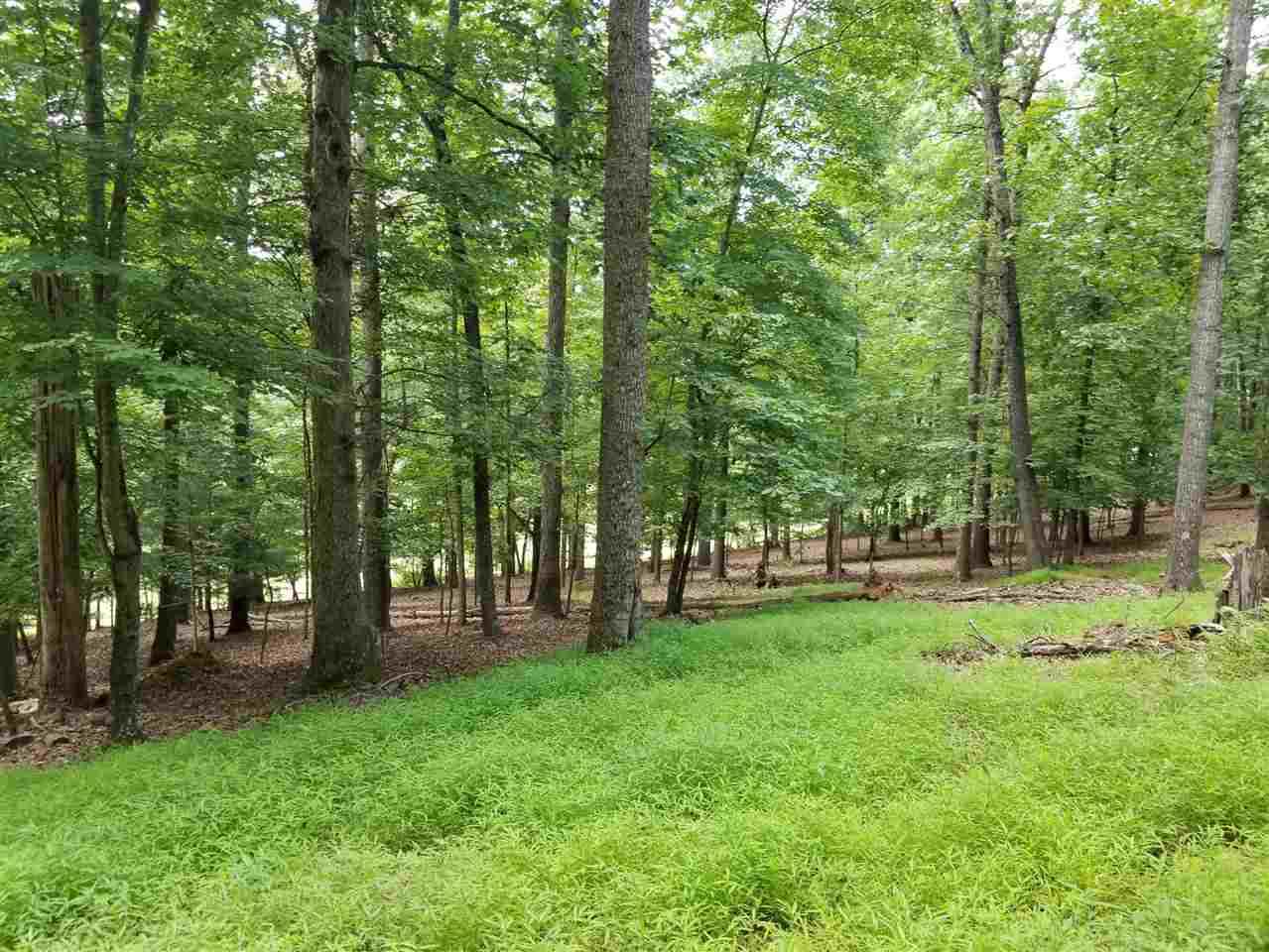 Mechum View Dr - Photo 1
