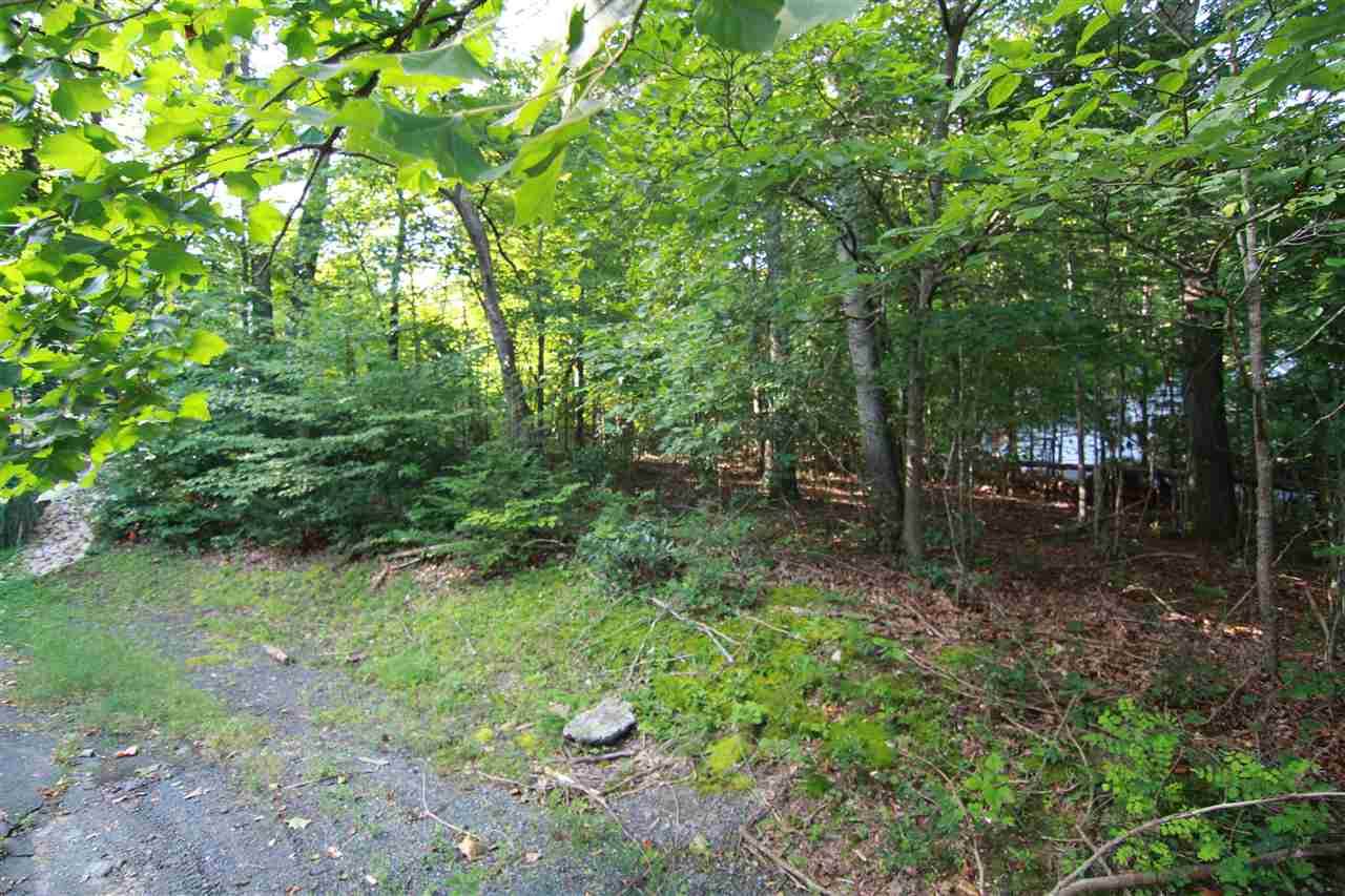 75 Barn Owl Ln - Photo 1