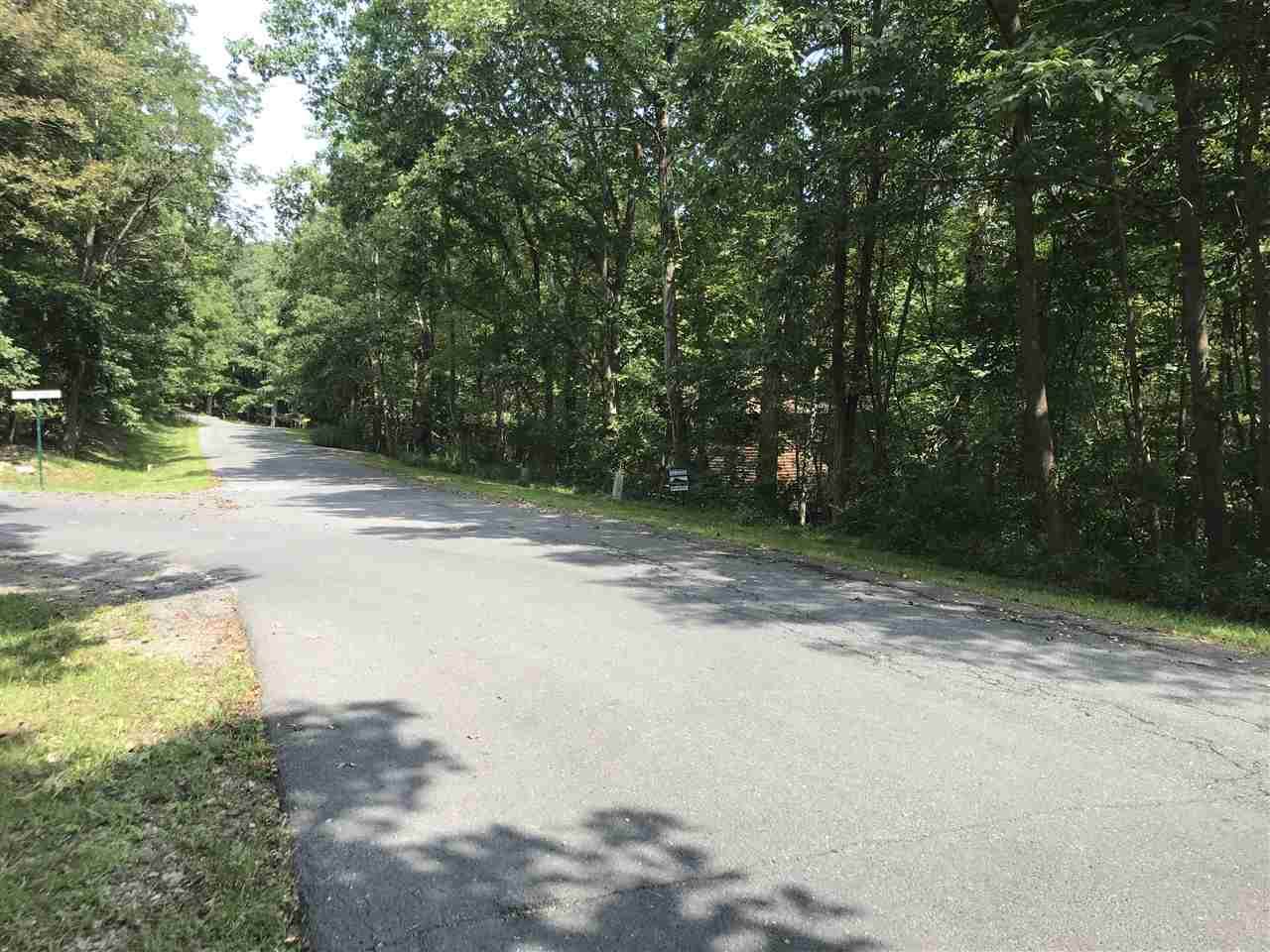 Lot 245 Deer Dr - Photo 1