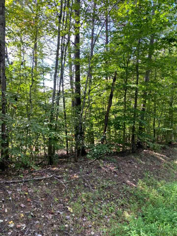 00 Brocks Mill Rd - Photo 1