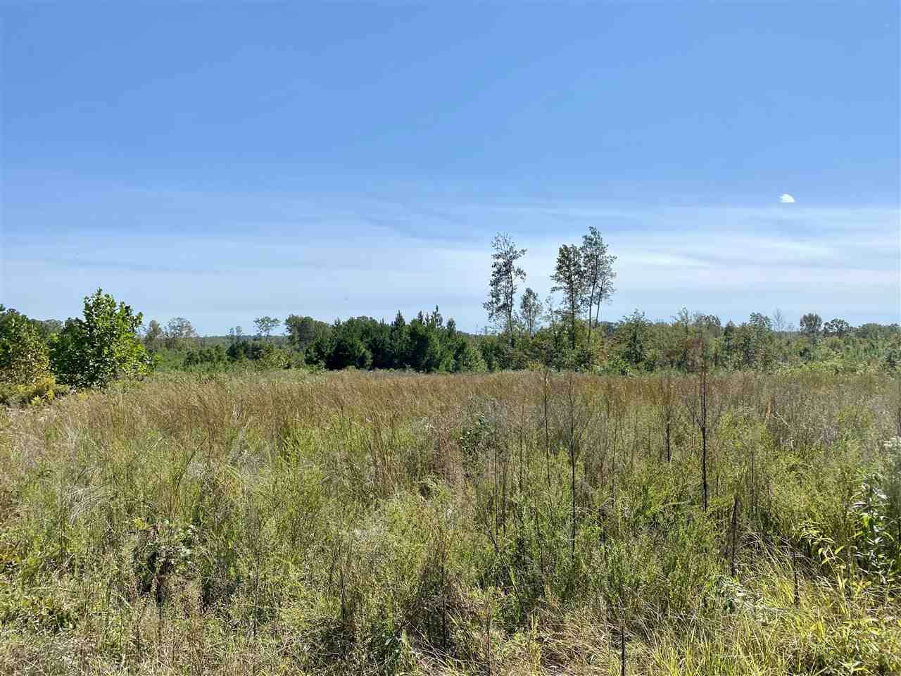 Lot 4 Carys Creek Rd - Photo 1