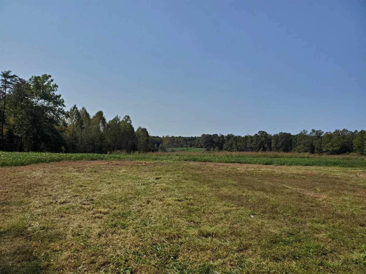 0 Spotswood Trl - Photo 1