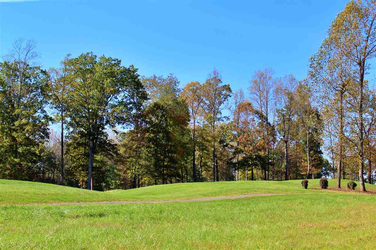 Lot 24 London Ln - Photo 1
