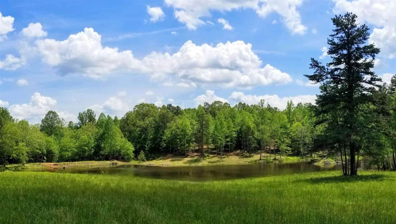 Lot 2 Rapidan Way - Photo 1