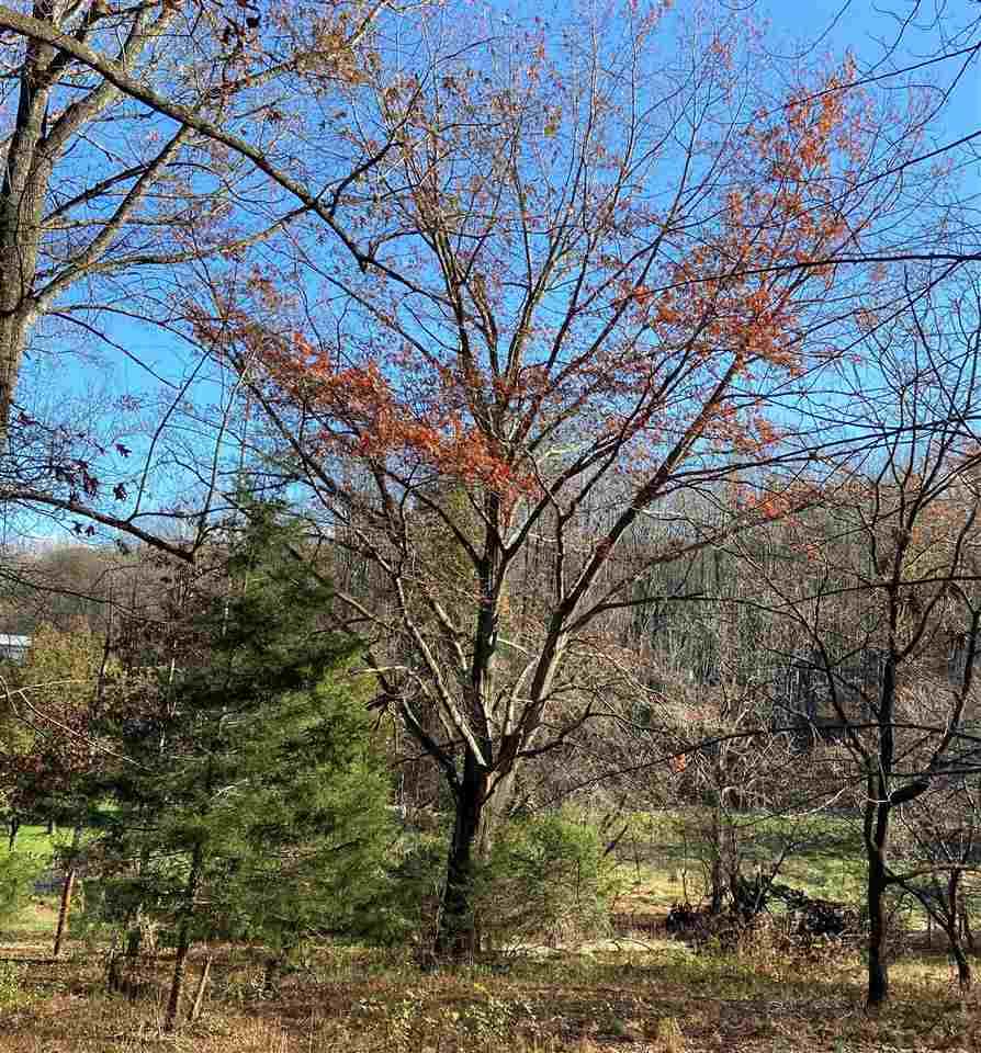 18160 Buzzard Hollow Rd - Photo 1