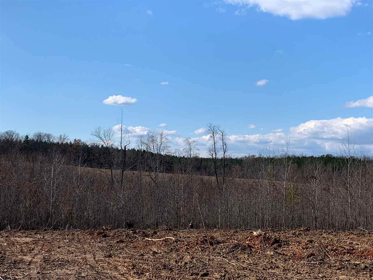 TBD Branch Dr - Photo 1