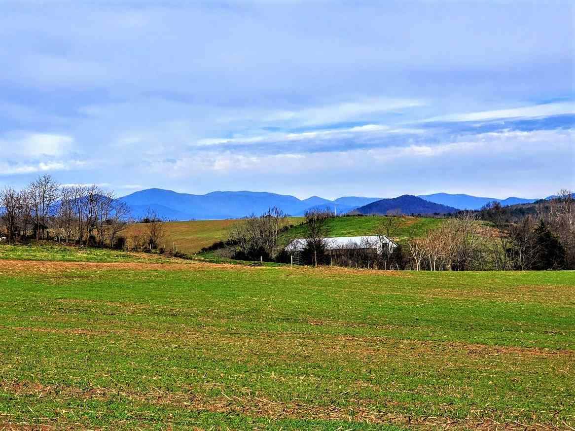 Lot 3 Fredericksburg Rd - Photo 1