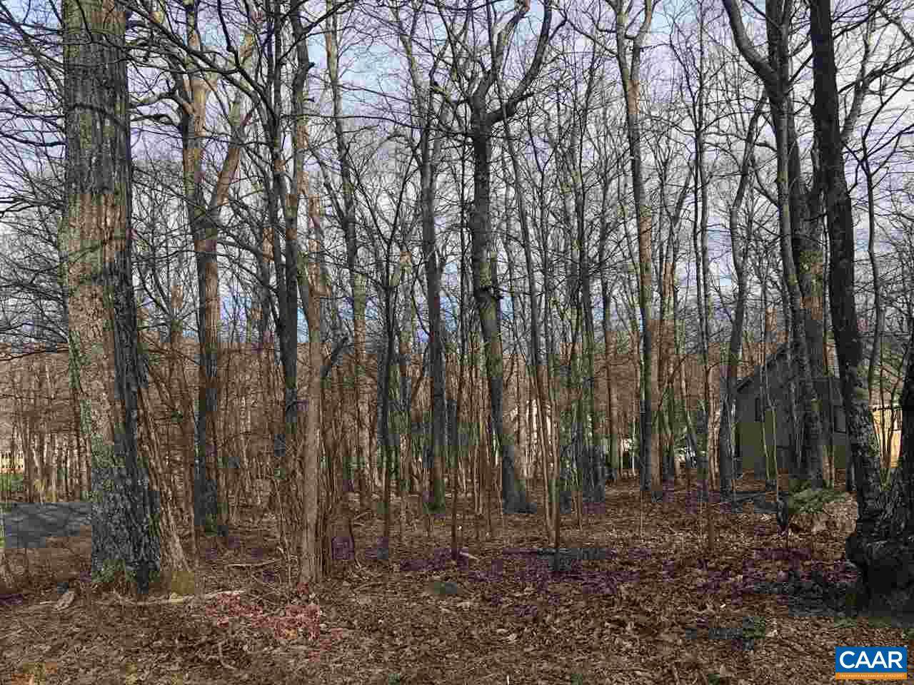 TBD Winter Wren Ln - Photo 1