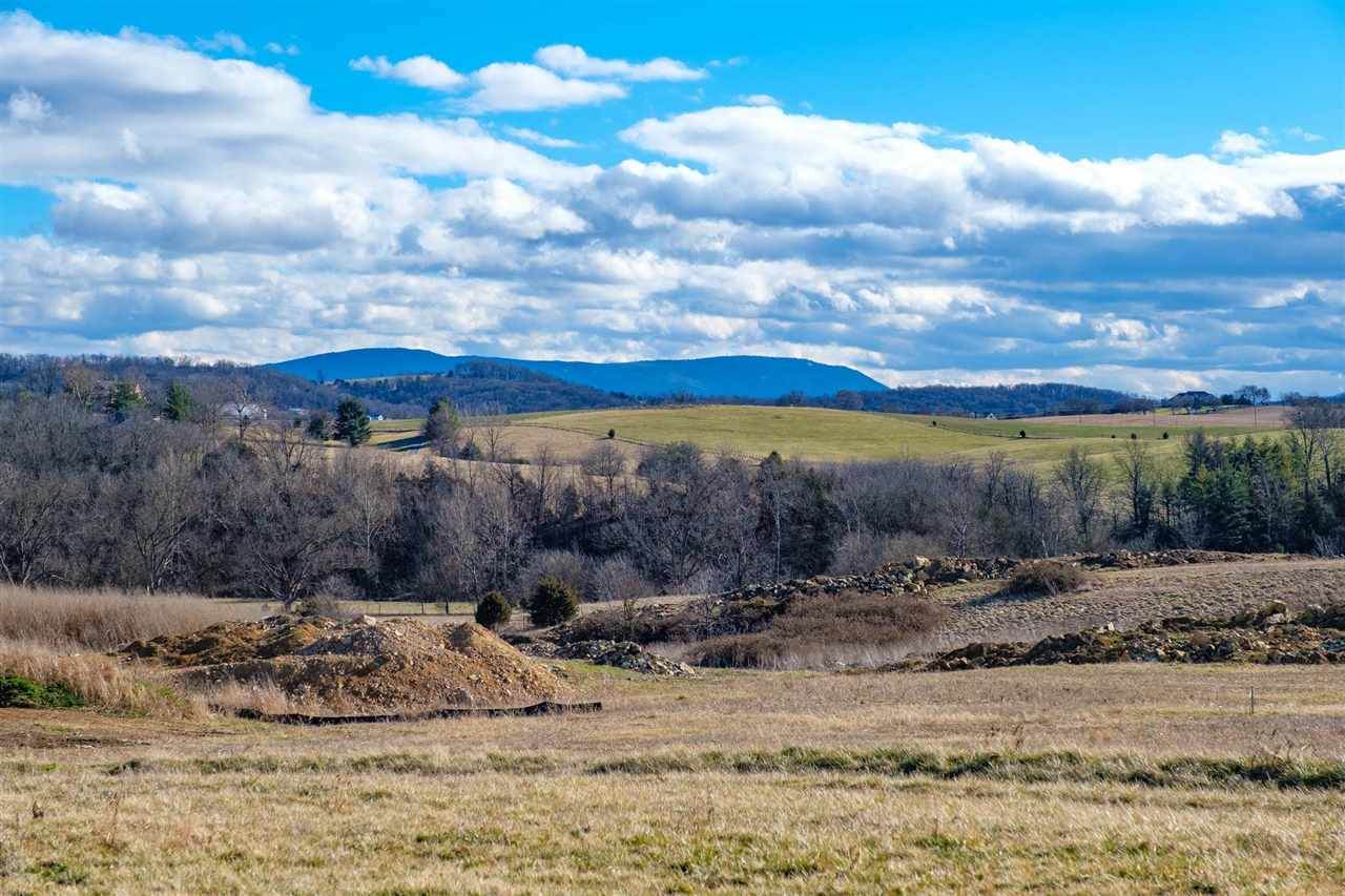 LOT 186 Coyote Run - Photo 1