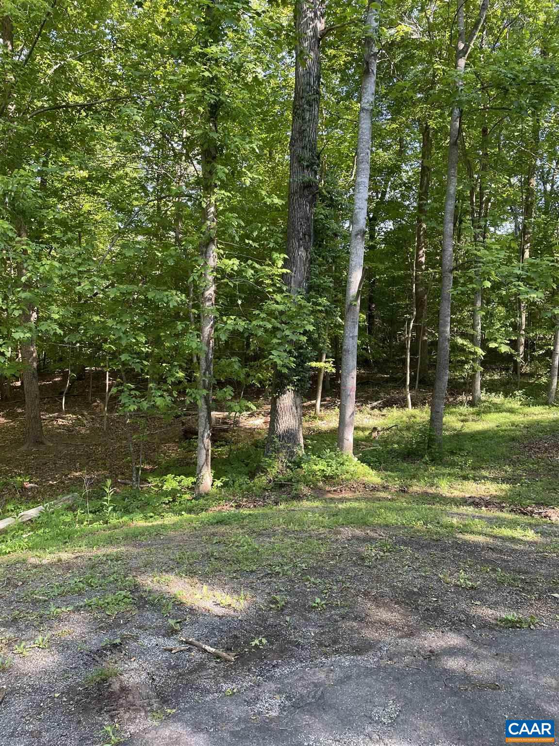 123 Ironwood Rd - Photo 1