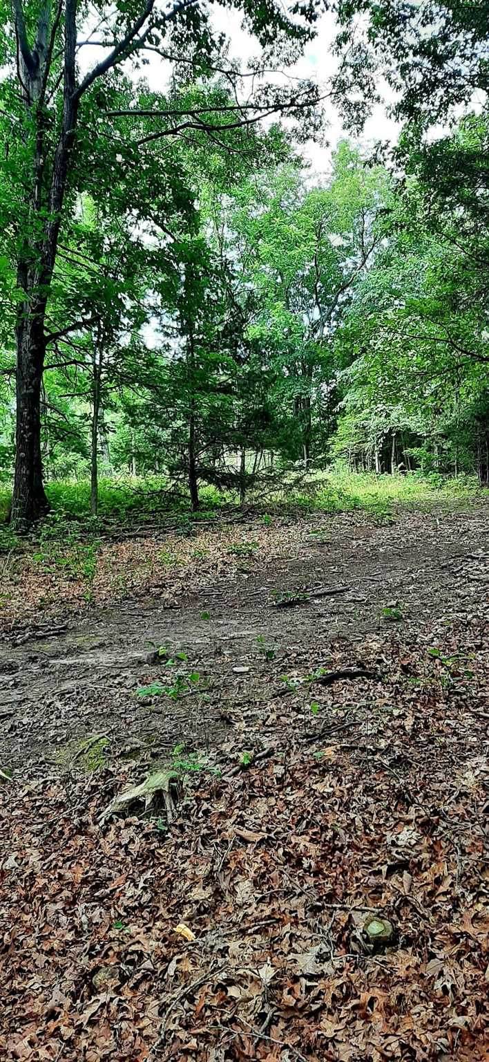 TBD Cold Springs Rd - Photo 1