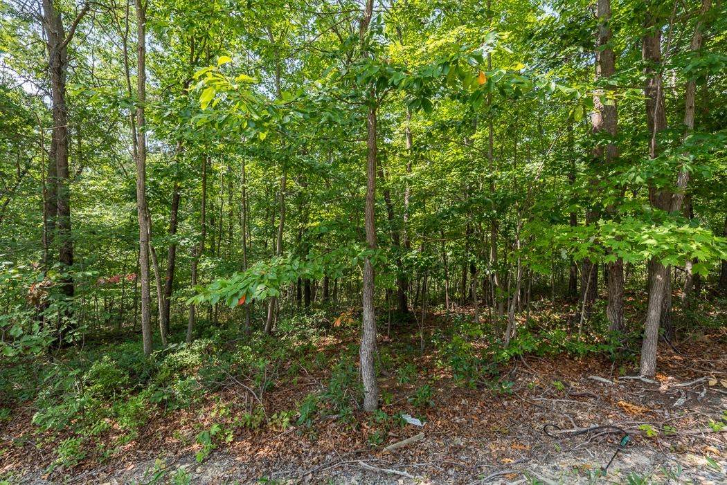 Lot 2 Scenic Hills Dr - Photo 1