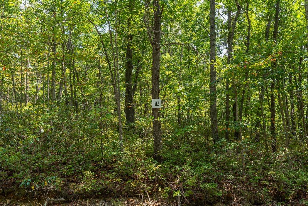 Lot 10 Scenic Hills Dr - Photo 1
