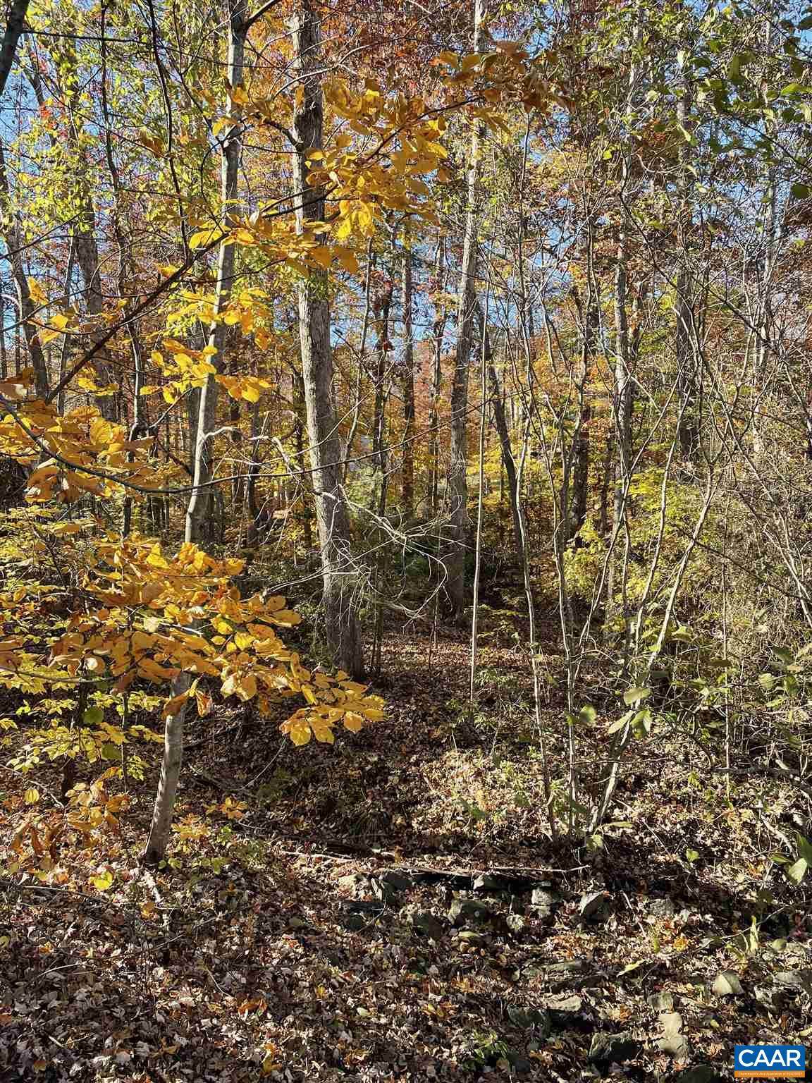 https://bt-photos.global.ssl.fastly.net/cville/1280_boomver_1_624232-2.jpg