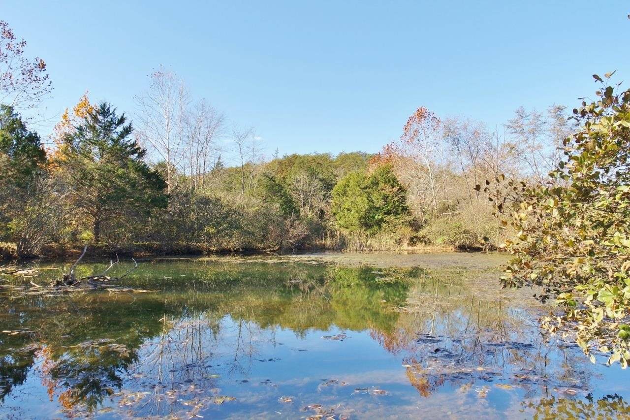 9881 Fort Valley Rd - Photo 1