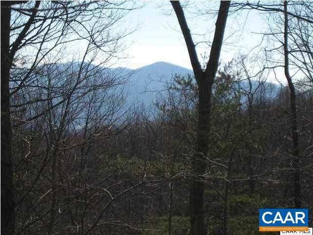 281 Wood House Ln - Photo 1