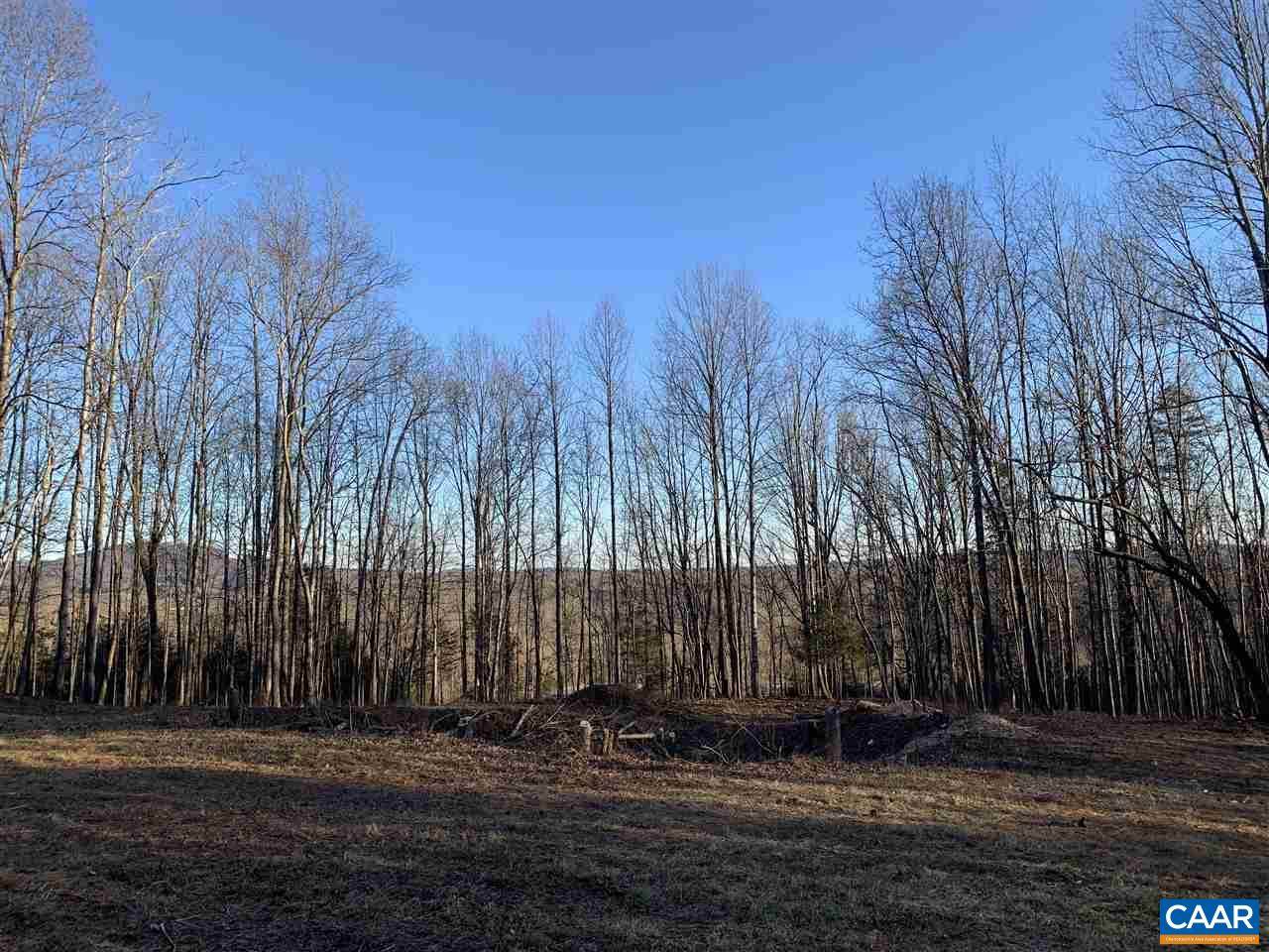 Lot 2 and 3 Via Creek Dr - Photo 1