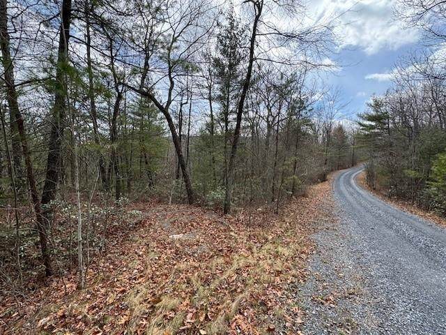 Lot 45 Fetterbush Ln - Photo 1