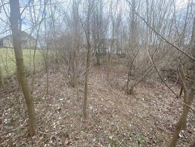 0 Long Meadow Rd - Photo 1