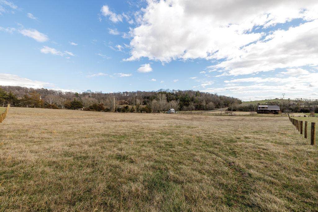 TBD Naked Creek Hollow Rd - Photo 1