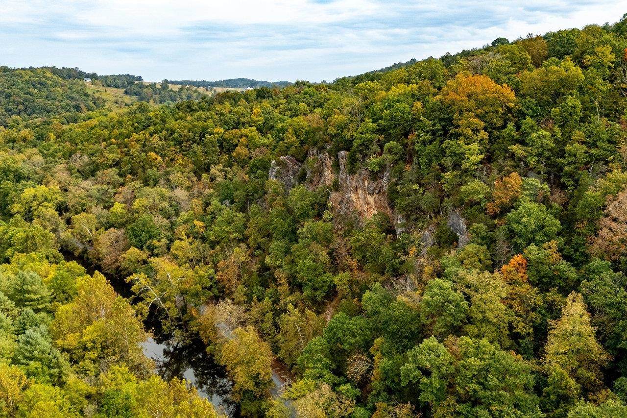 TBD Bald Rock Rd - Photo 1