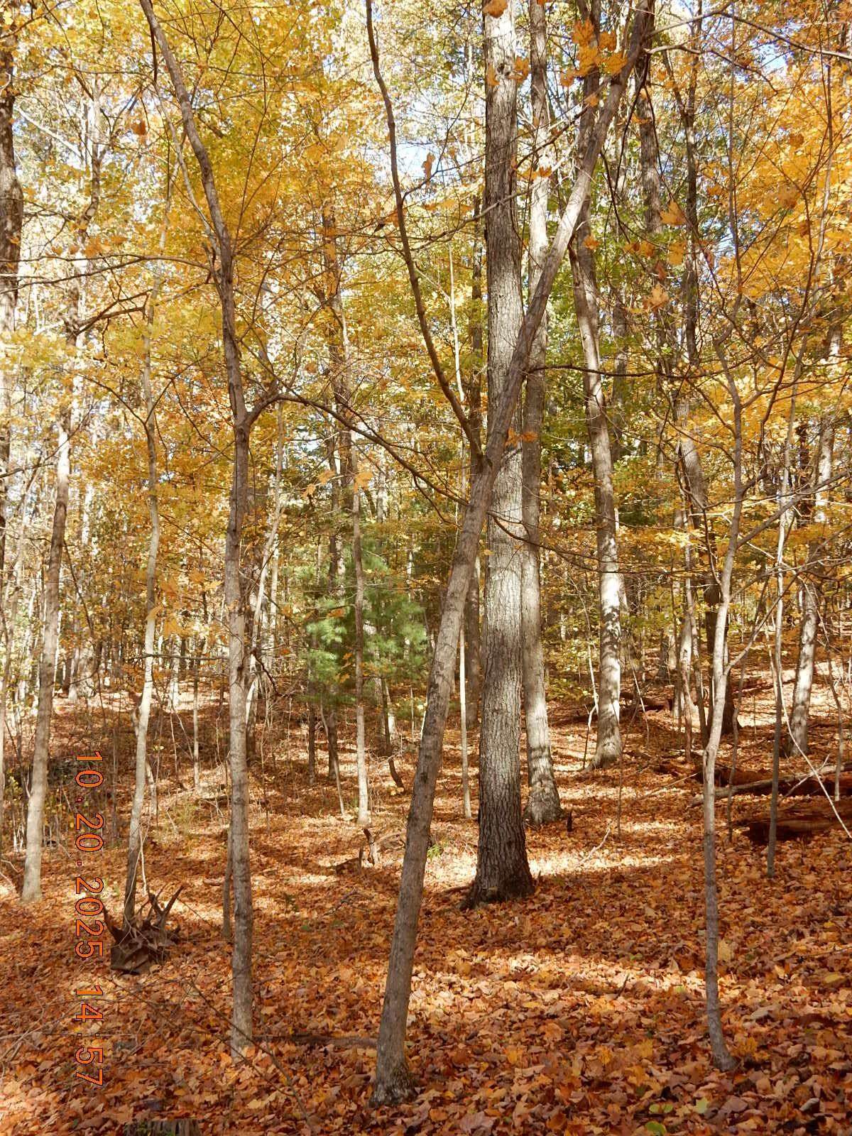 https://bt-photos.global.ssl.fastly.net/cville/1280_boomver_1_670277-2.jpg