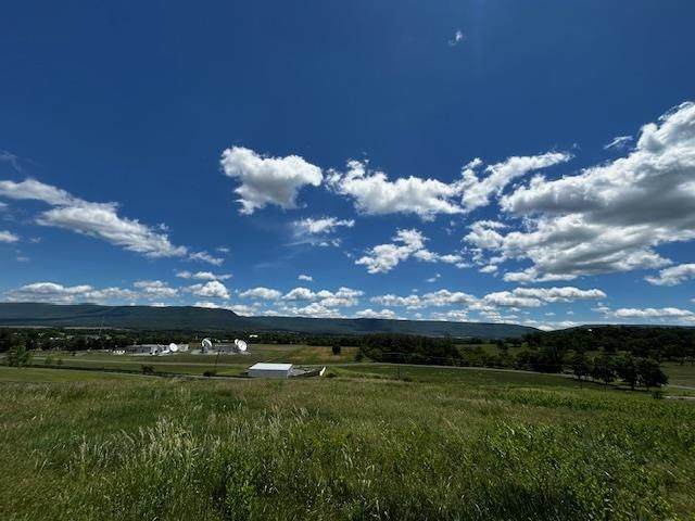 TBD Turkey Knob Rd - Photo 1