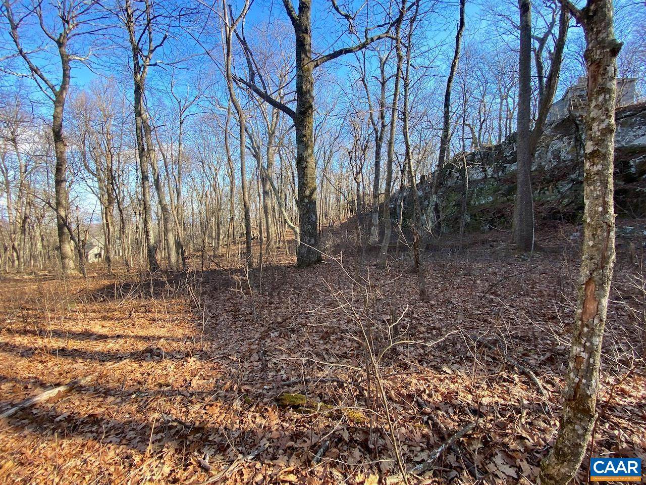 462 Deer Springs Ln - Photo 1