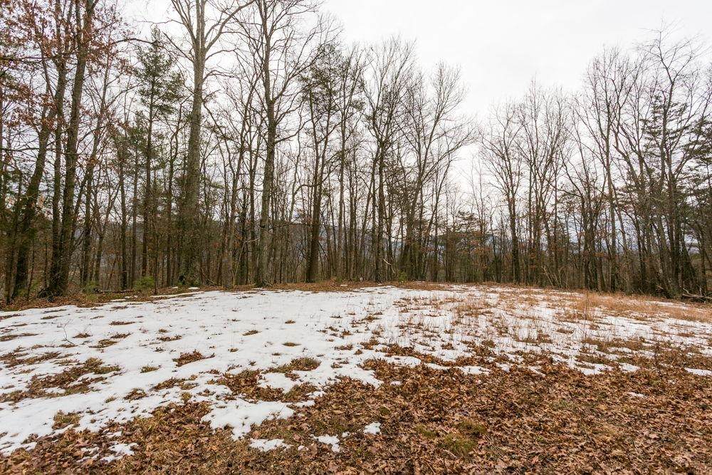 Lot 44 Rainbow Ridge Rd - Photo 1