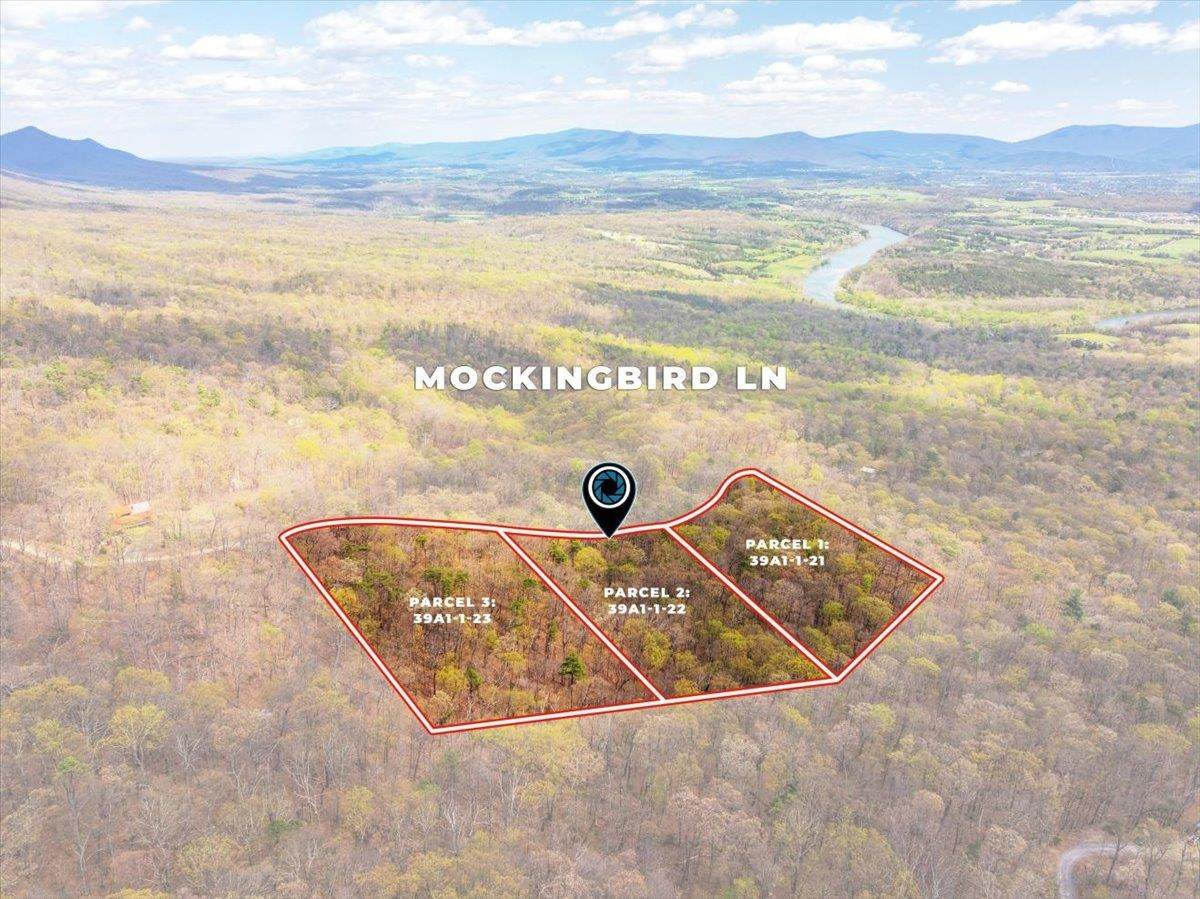 Lot 21 Mockingbird Ln - Photo 1