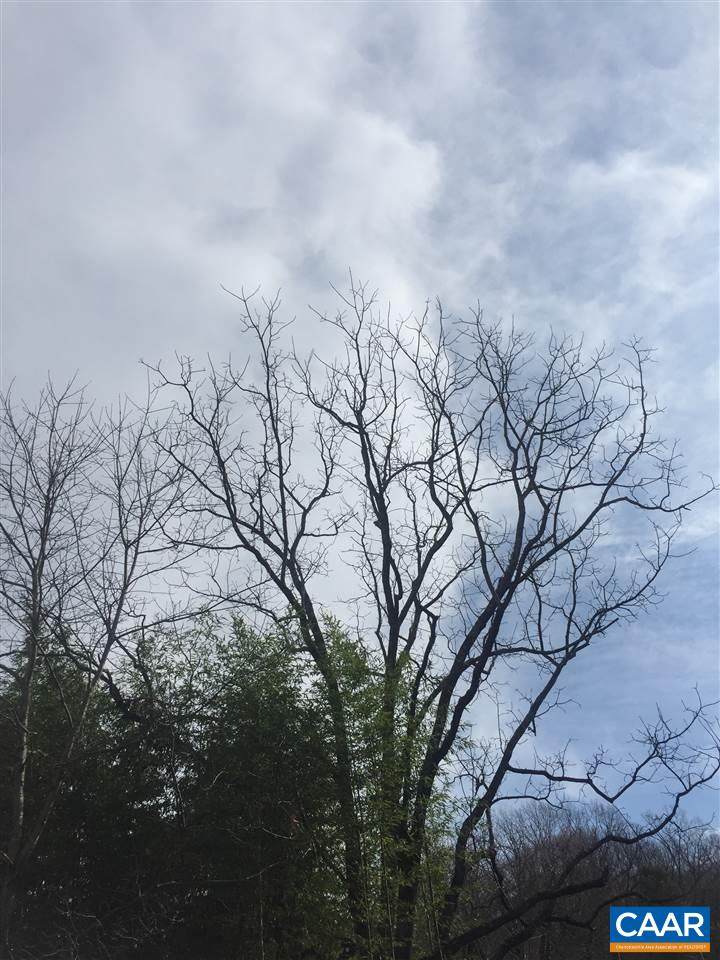  Lackey Ln - Photo 1