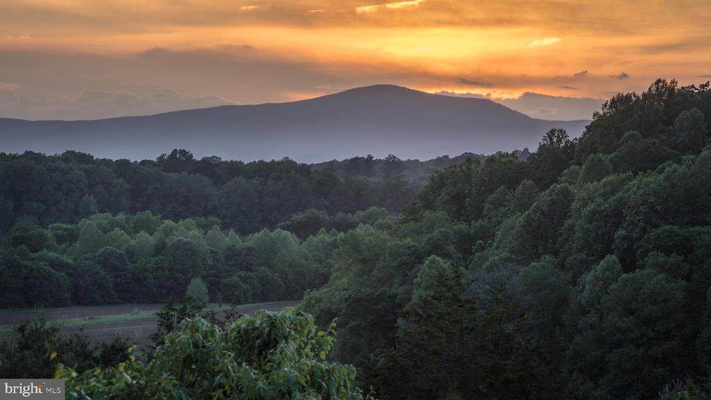 2427 S Blue Ridge Tpke - Photo 1