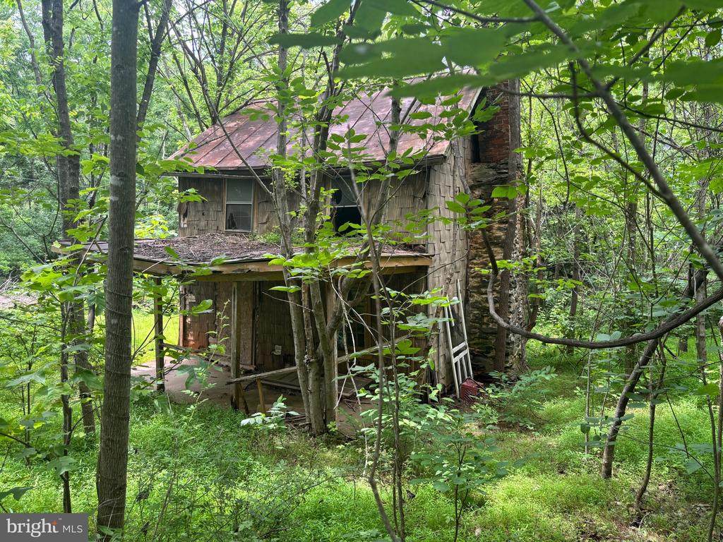  Mount Pisgah Church Dr - Photo 1