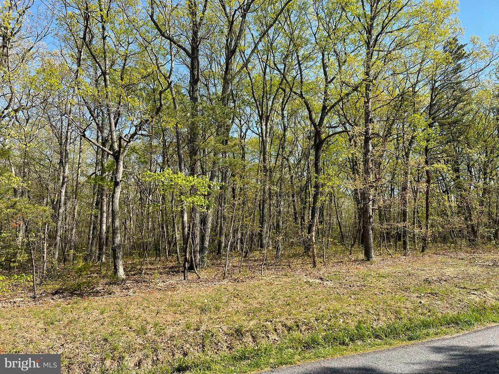13323 Black Meadow Rd - Photo 1