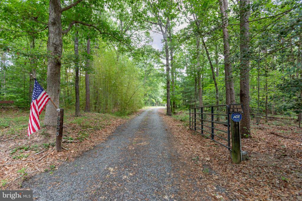 8305 Old Plank Rd - Photo 1