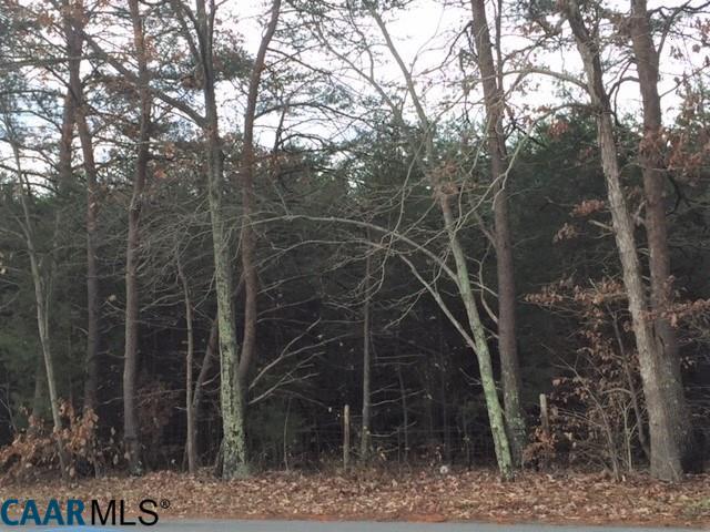 0 Constitution Hwy - Photo 1
