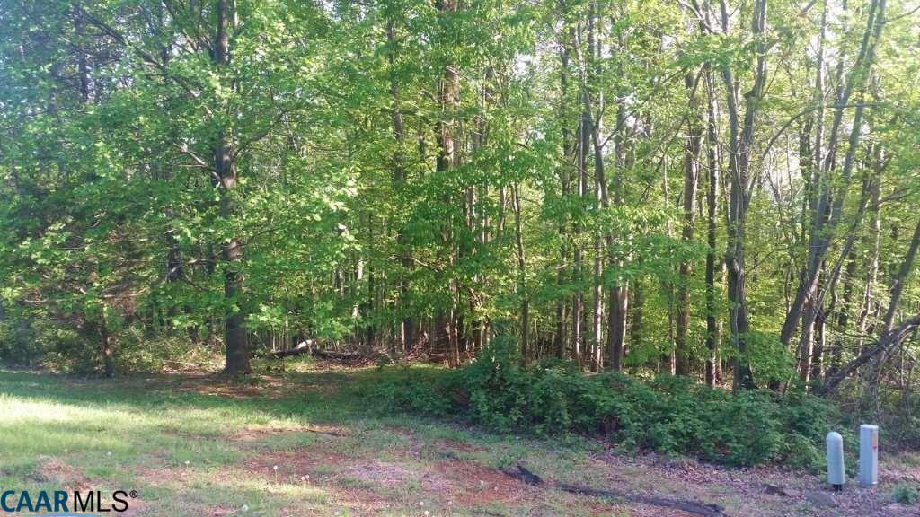 1296 Black Walnut Dr - Photo 1
